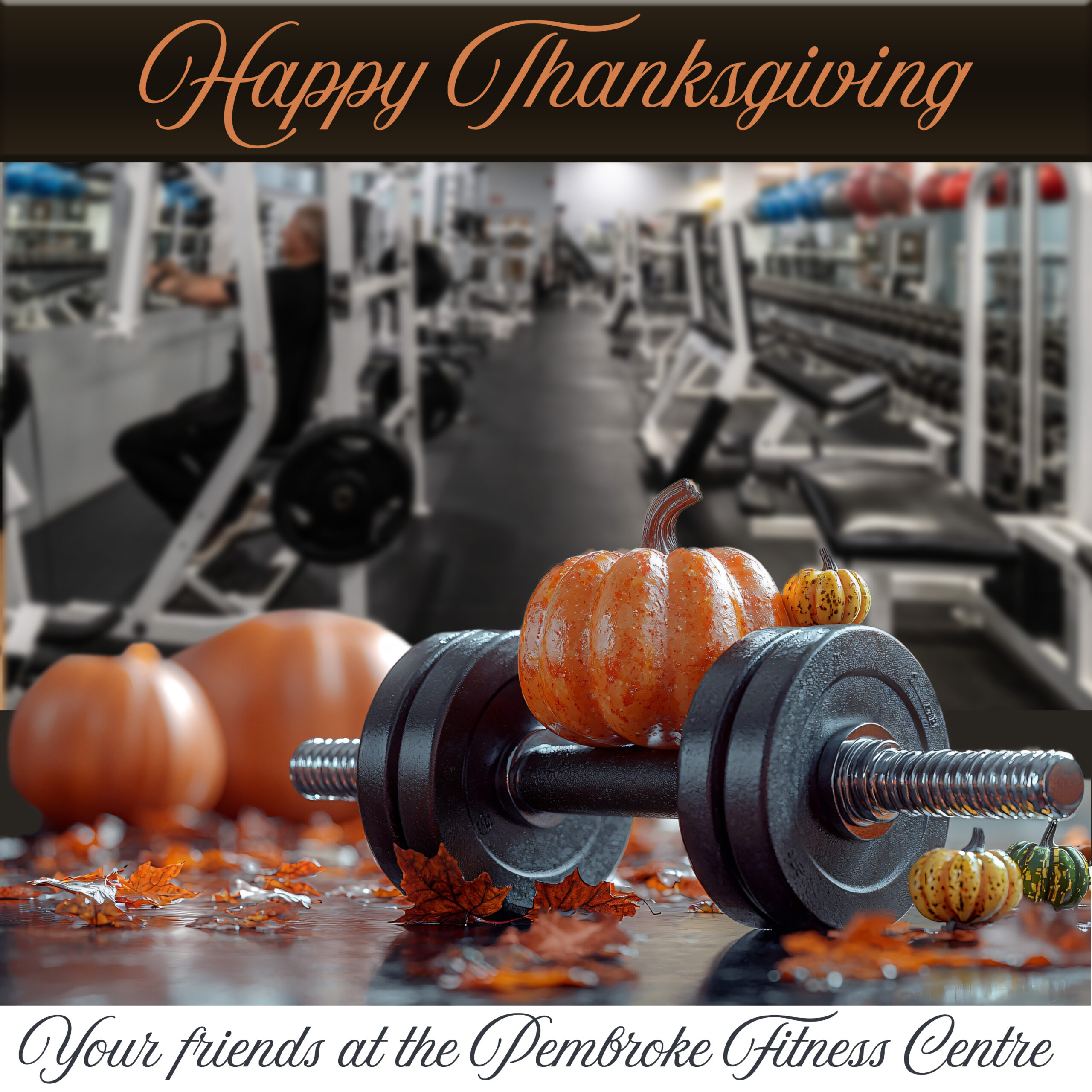 Happy Thanksgiving banner